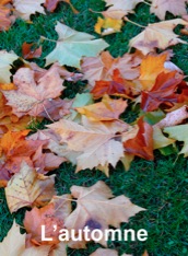 L'automne