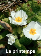 Le Printemps 1