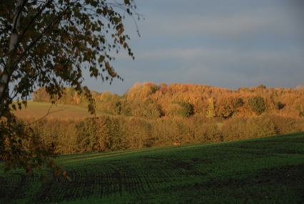 DSC_0008